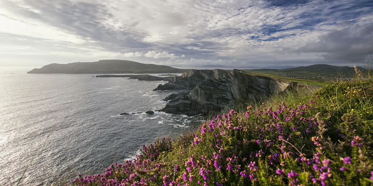 Complete Ireland Experience