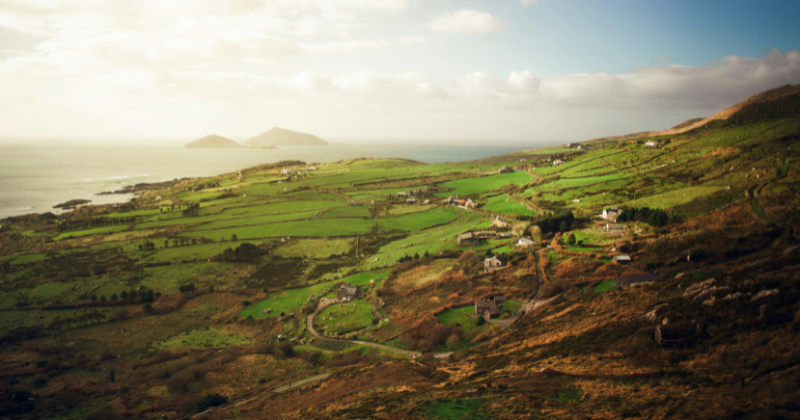 Farmland with a view of the ocean