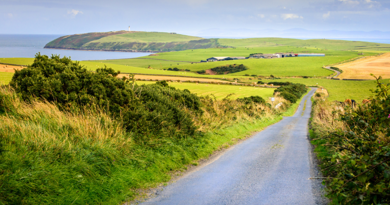 A quiet country road