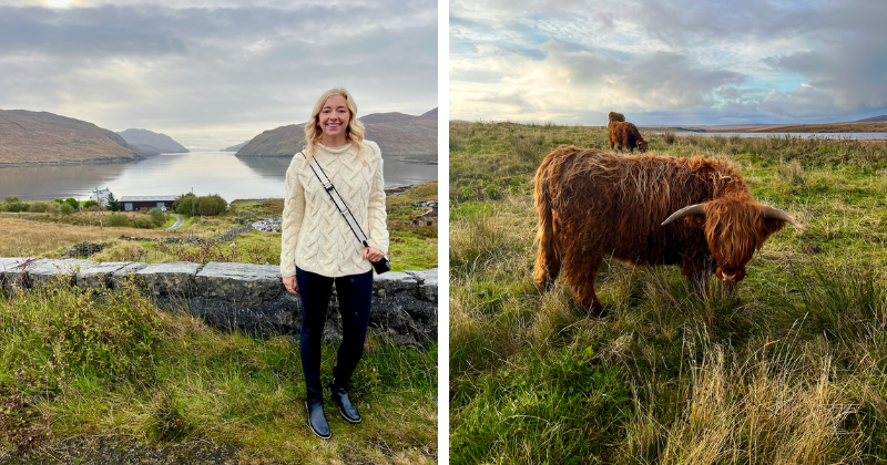 A woman standing in a field, and a highland cow grazing in a field