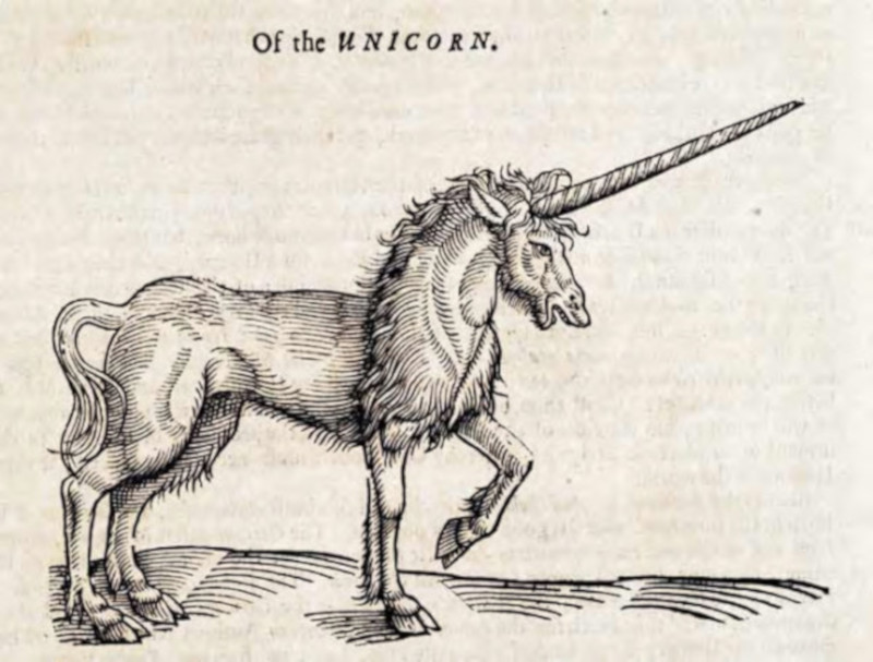 Unicorn depictions in Scotland