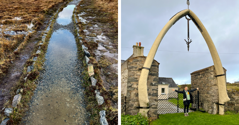 A muddy road and a bone display