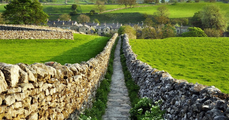 A lane with a stone fence in the countryside