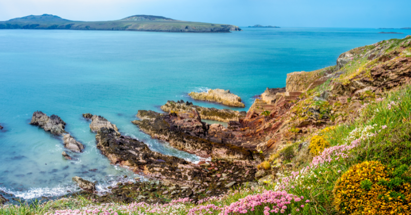 a beautiful coastline