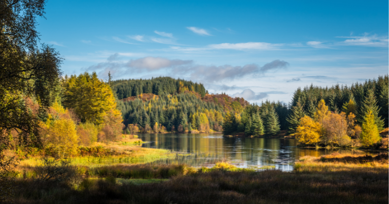 Three lochs forest drive