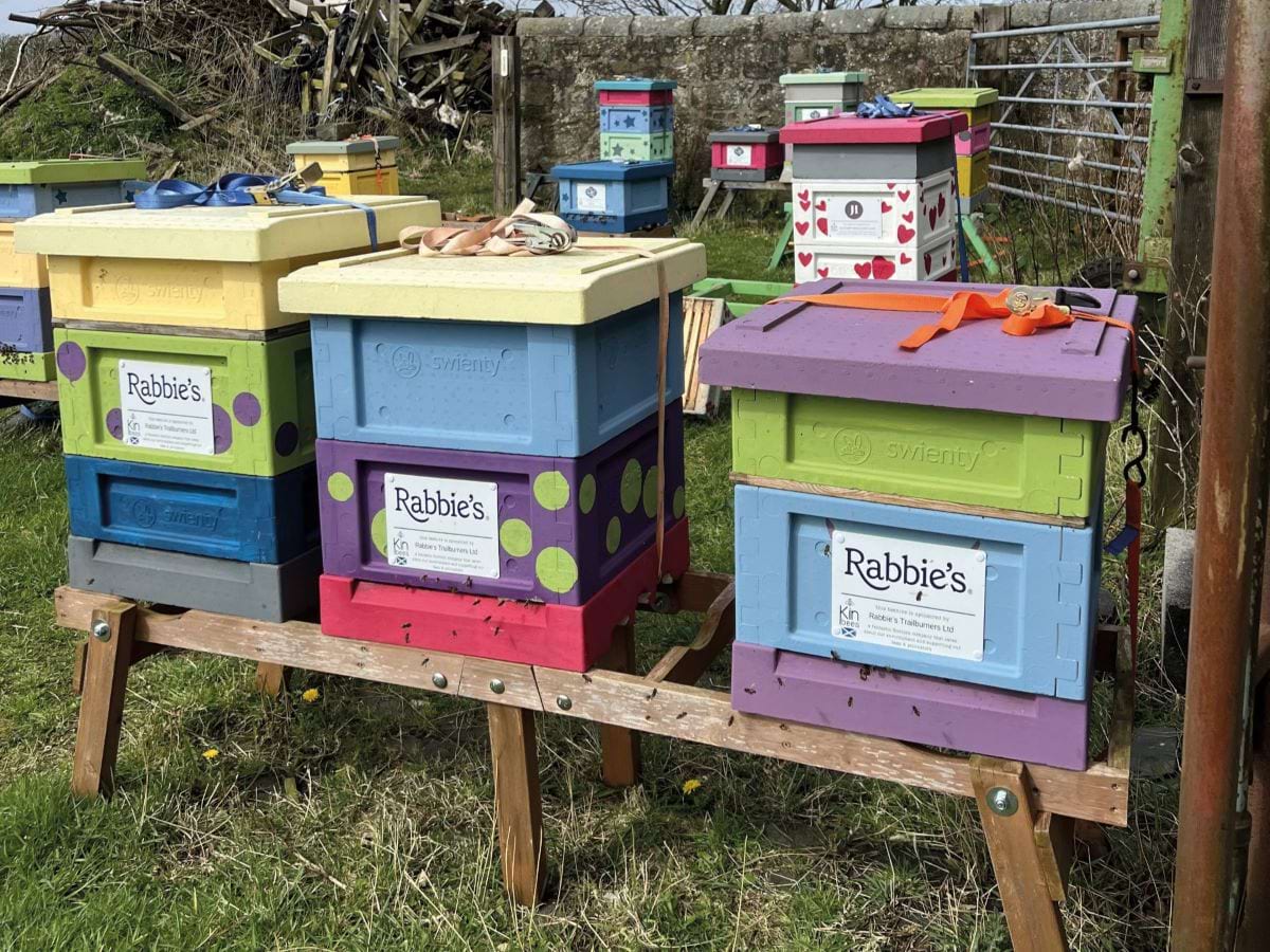 Kin Bee Hives