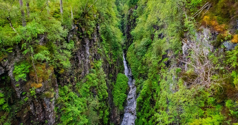 A gorge with trees and a waterfall