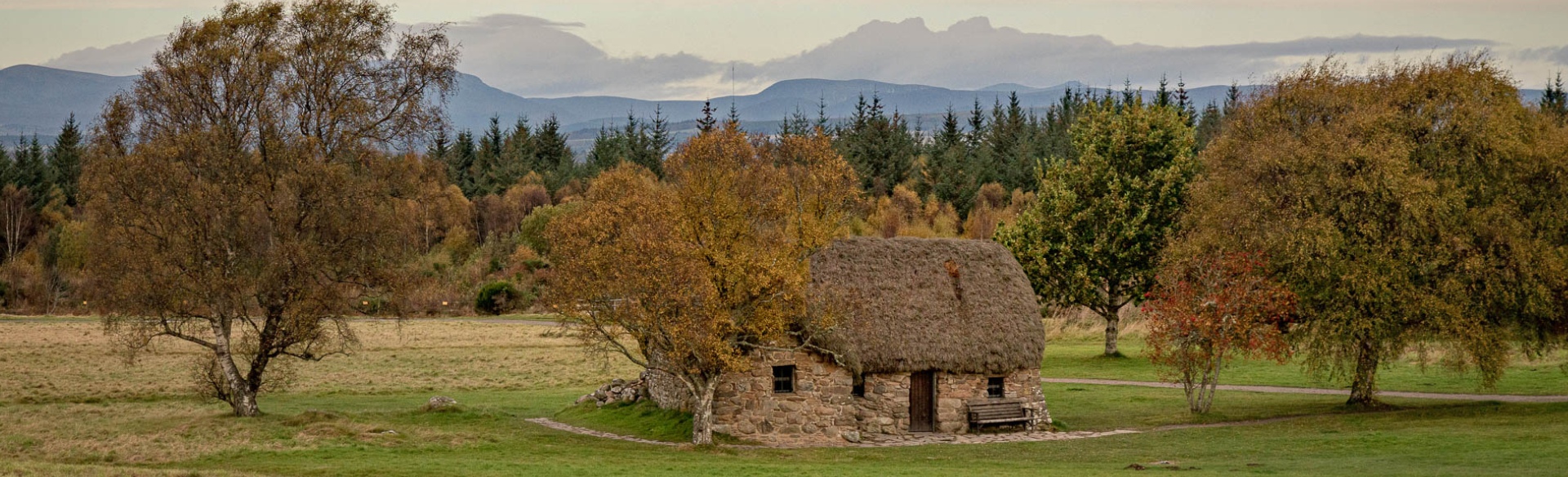 Thatched roof house in a field