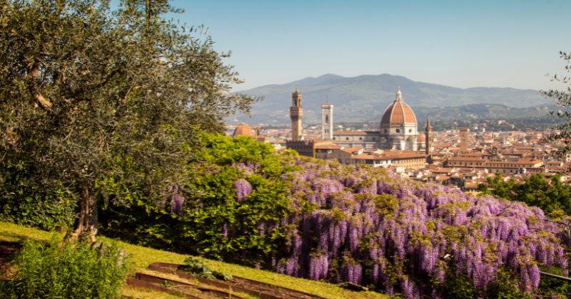 florence bardini gardens