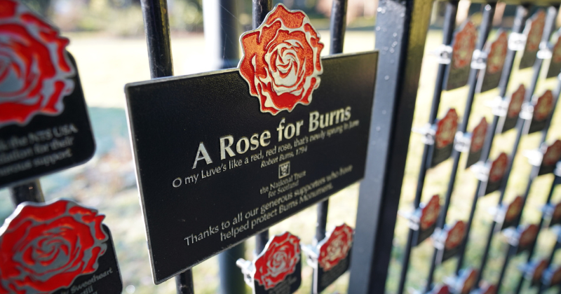 a fence with a plaque and roses