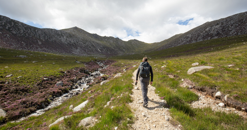 a man walking in a field surroudned by mountains