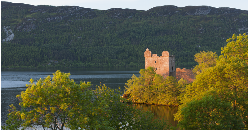 A castle peeking out from behind trees beside a loch