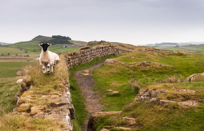 Tours of Hadrian's Wall Northumberland