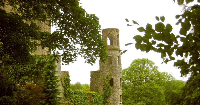 blarney castle and the stone