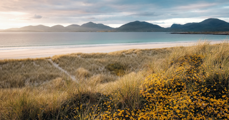 A beautiful beach at sunset