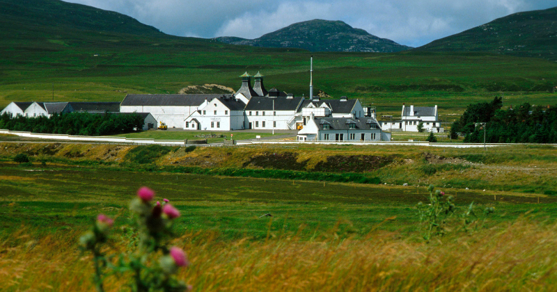 A large white distillery building surrounded by green landscape