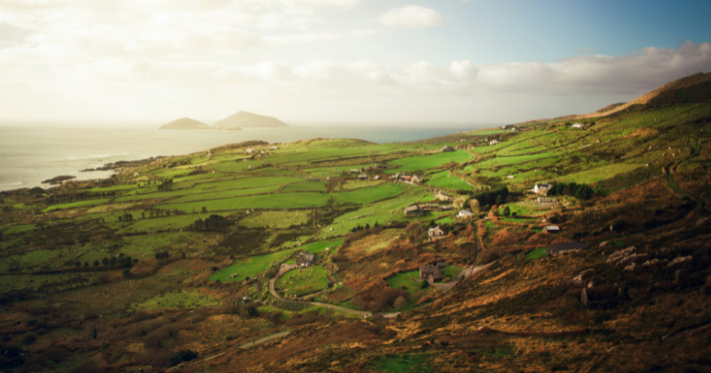 a green landscape