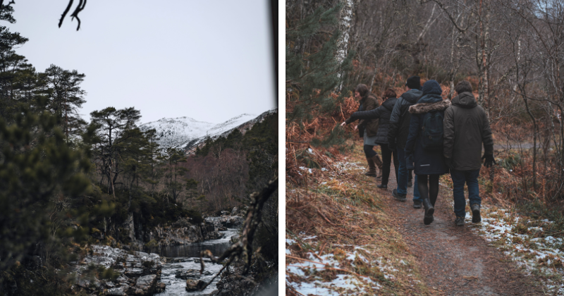 people walking in a forest during winter