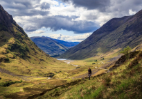 How Can I Avoid the Notorious Highland Midges Bites?