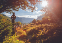 7 Reasons to Visit Glendalough & the Wicklow Mountains National Park