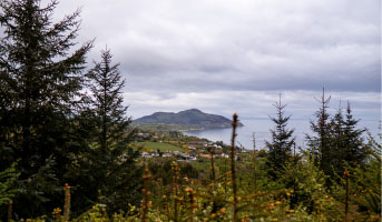 A Day on the Island: Arran - 1 day tour